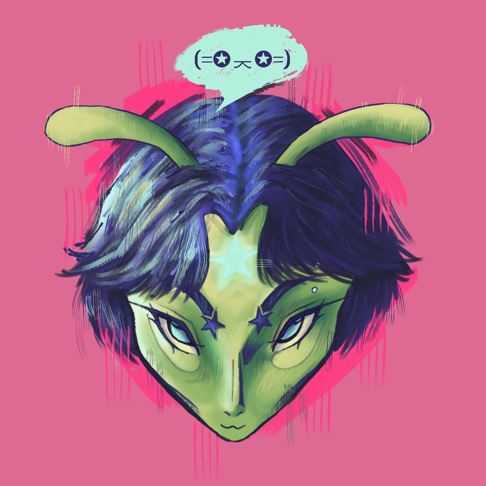 bug🪲