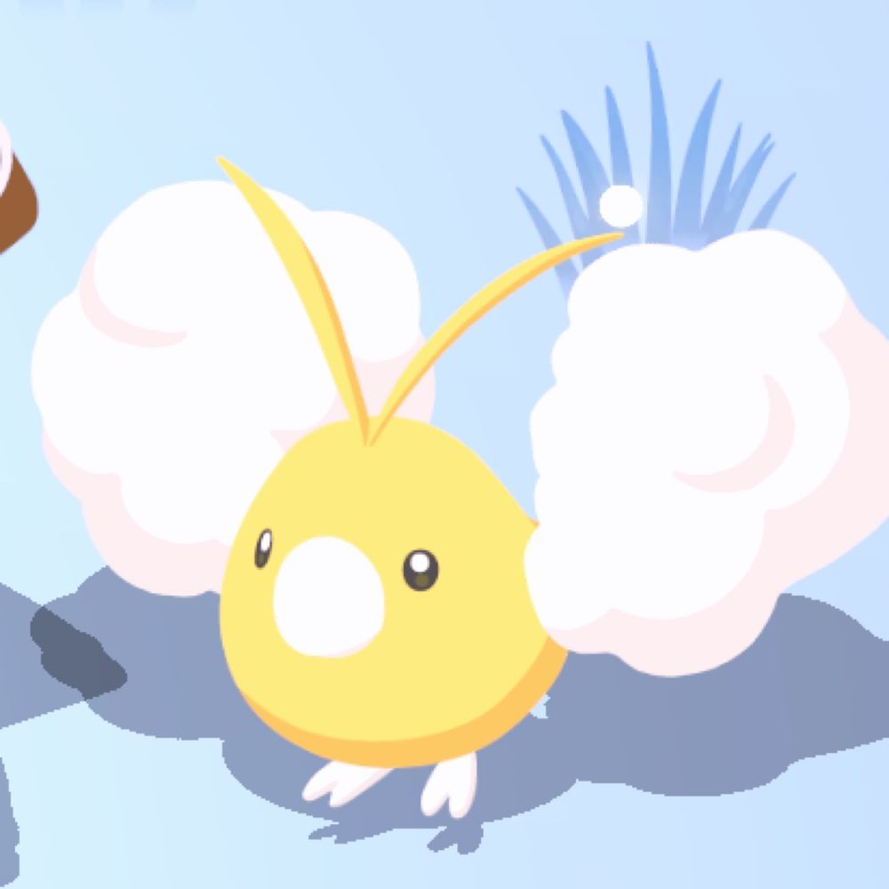 ぴよこ 🐣🌷