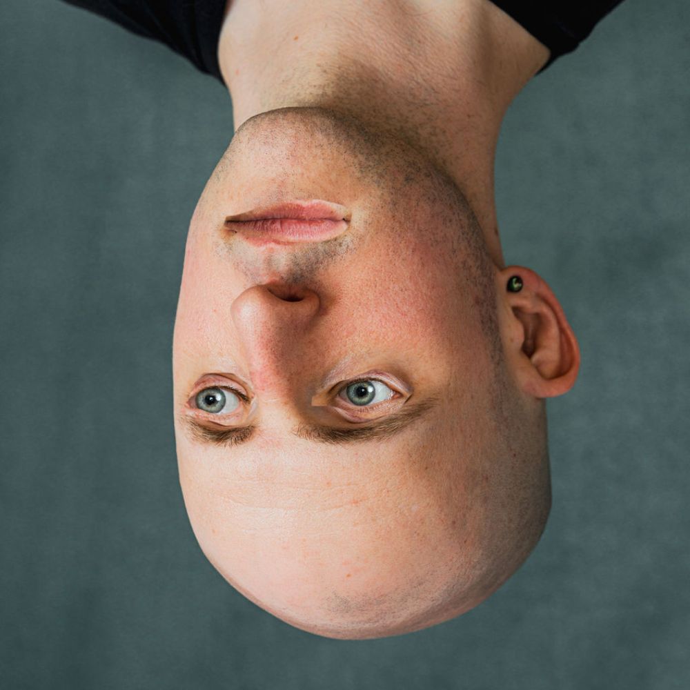Dan Collins