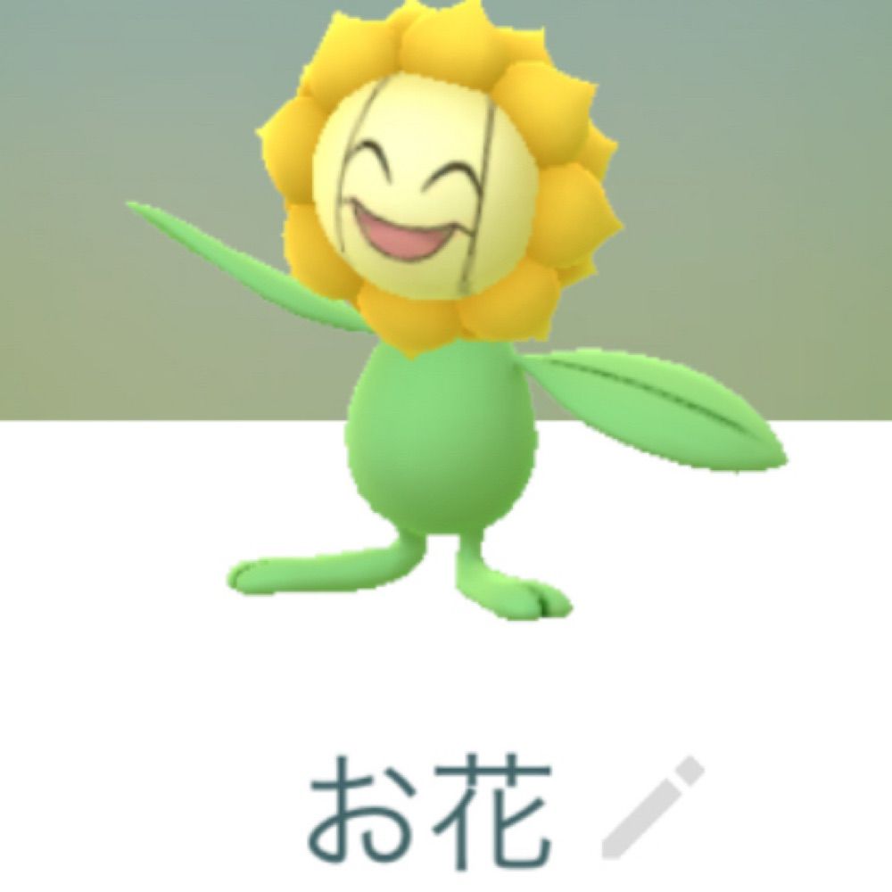 お花