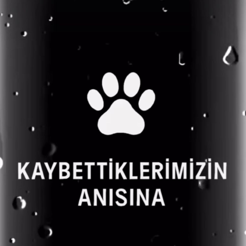 Uğur