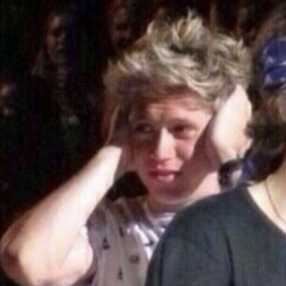 nats VIU O LOUIS E O NIALL ✨
