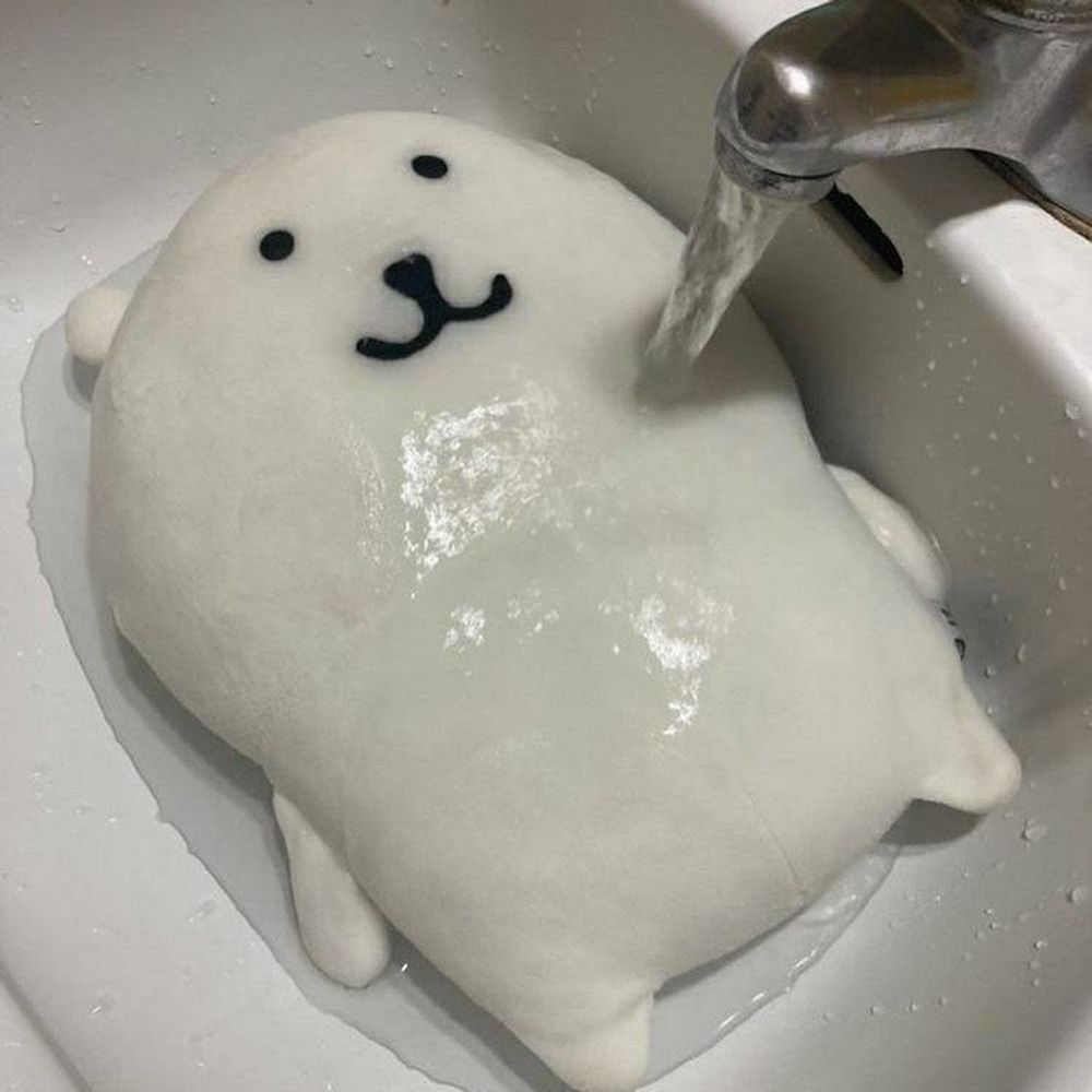 하치