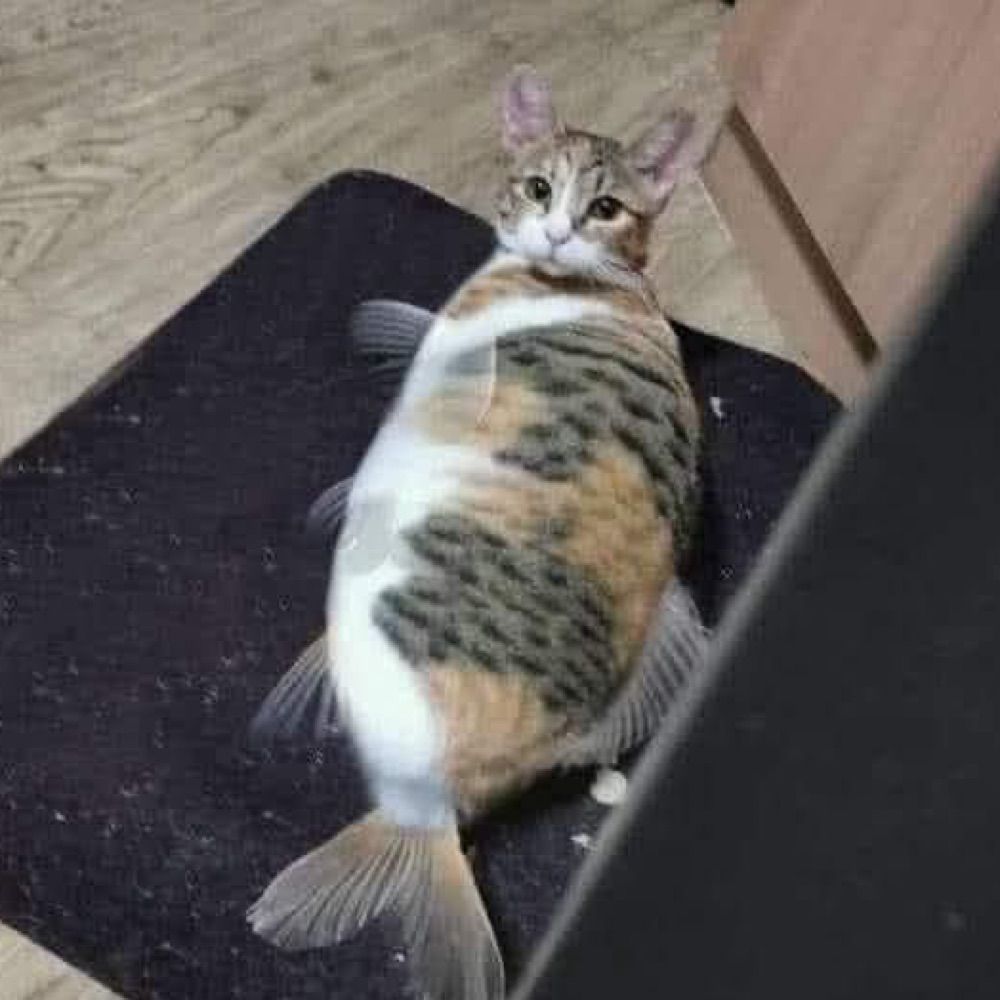 さちこ