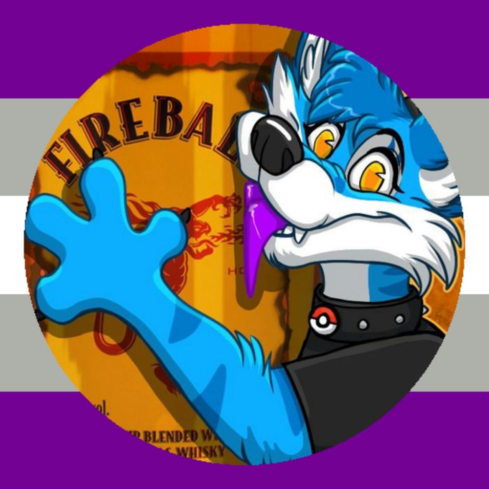 TyCat7