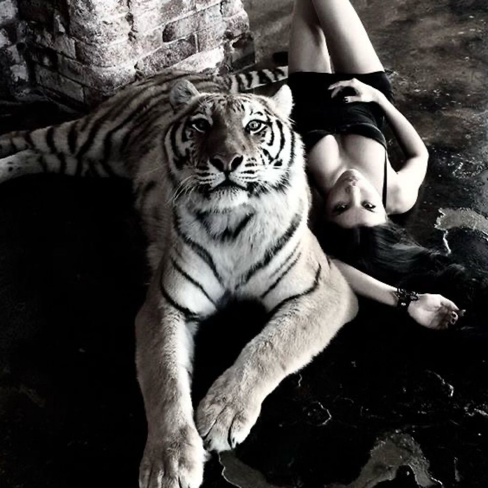 Malvadeza🐅