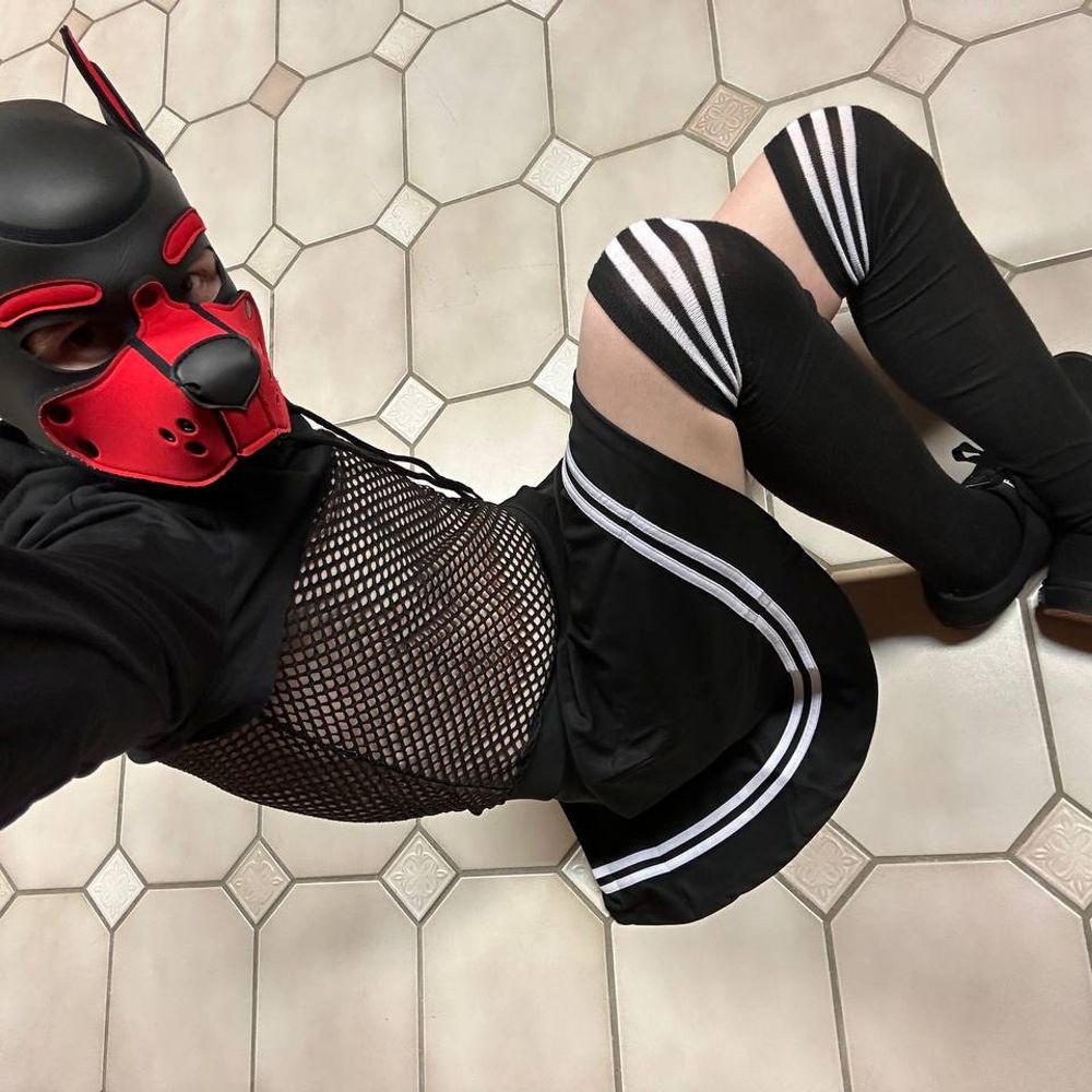 PupNero