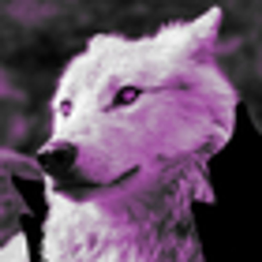 NSFWolves