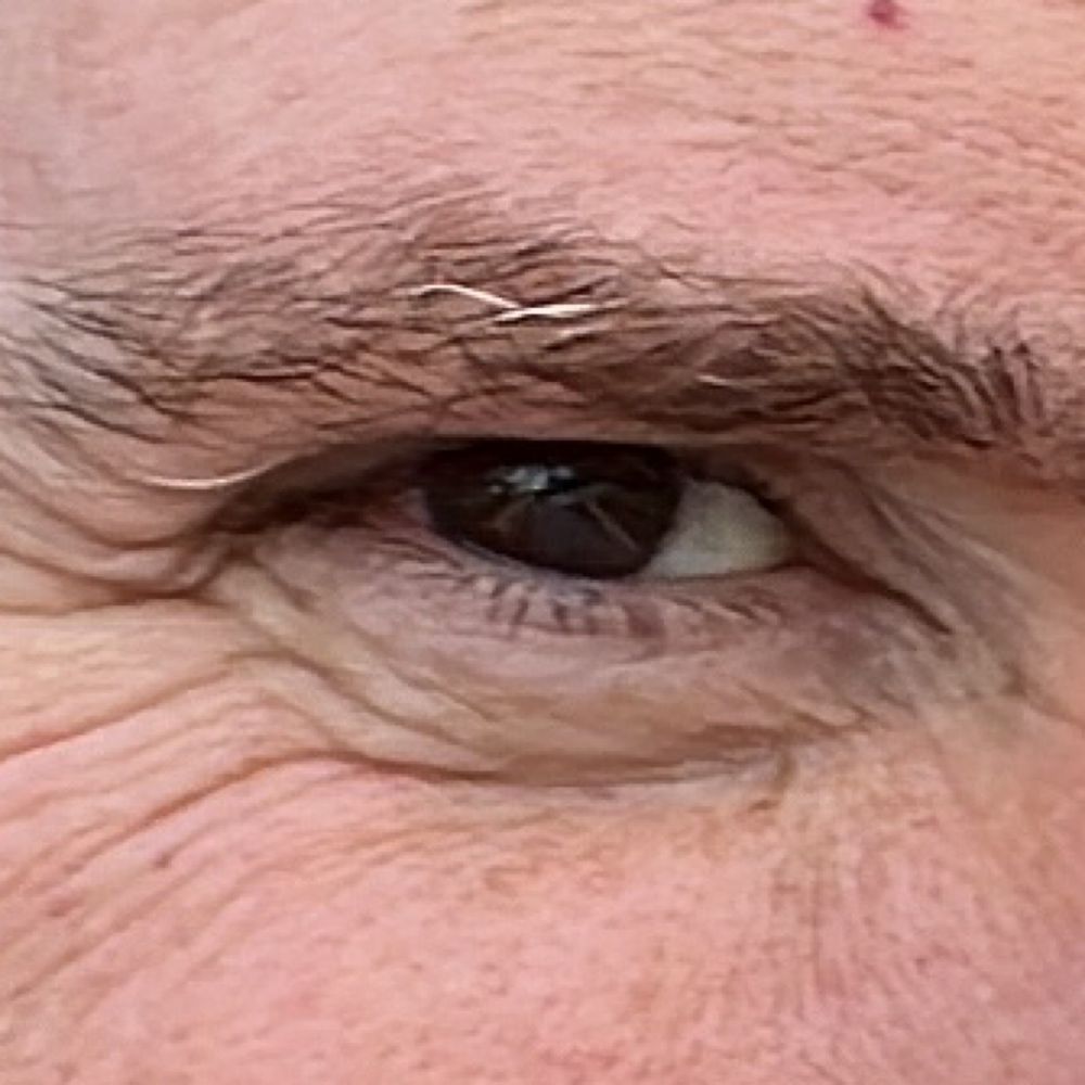 David