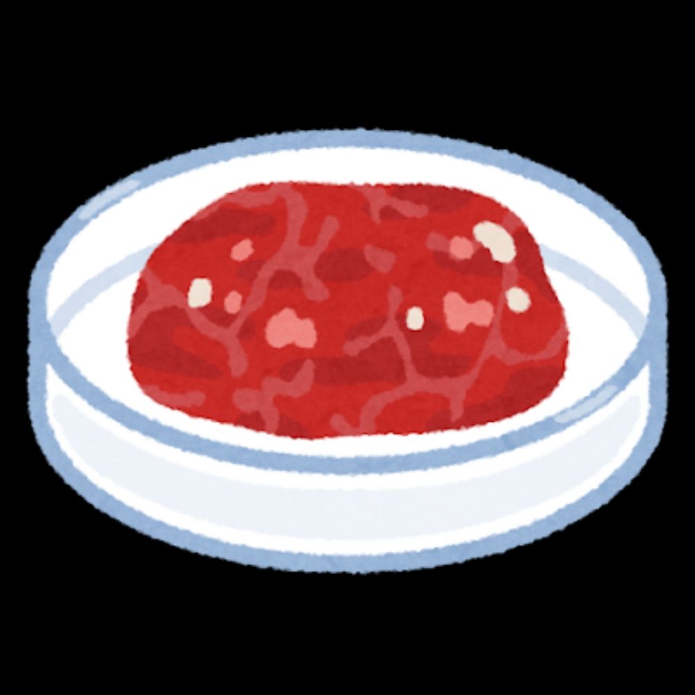 肉塊