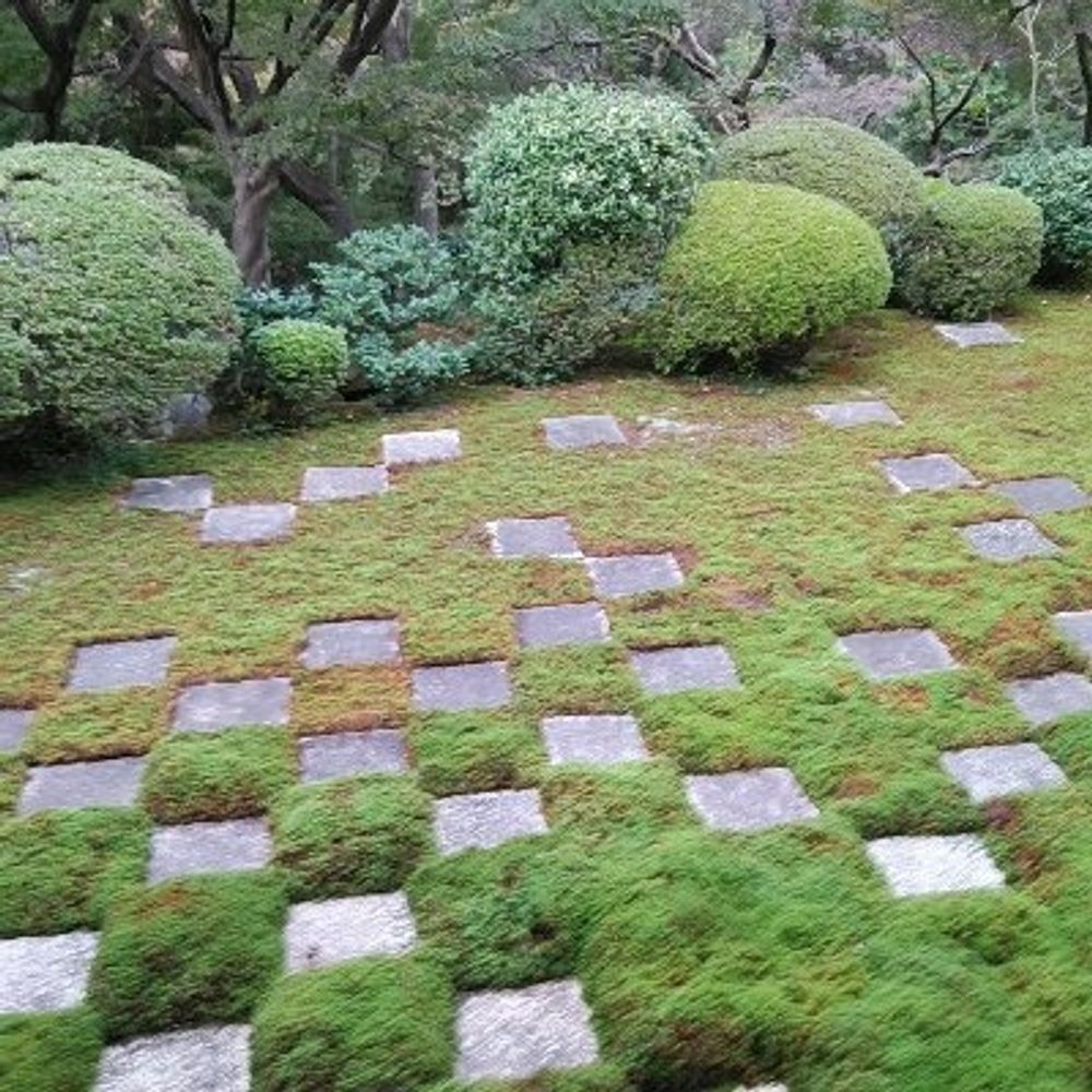 分身