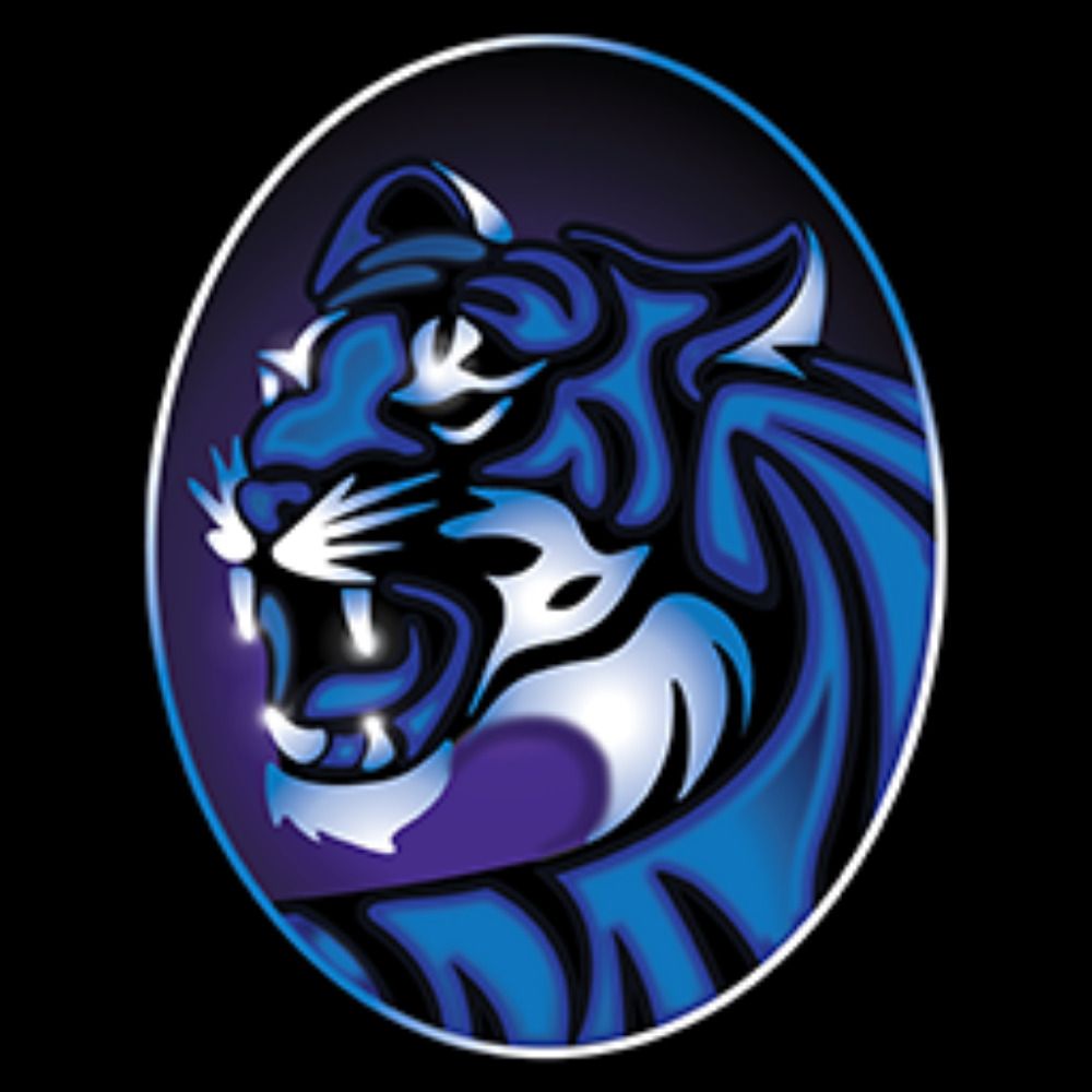 Mystic Tiger Games