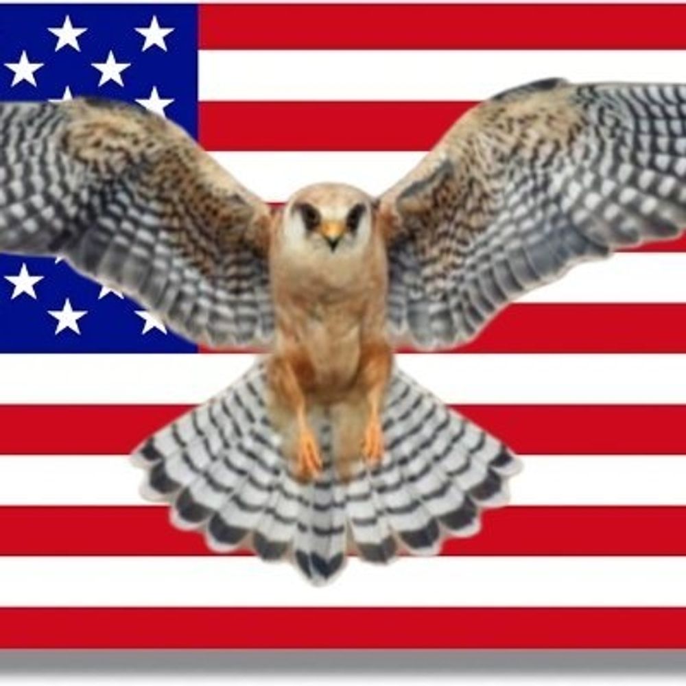 Bastard Falcon