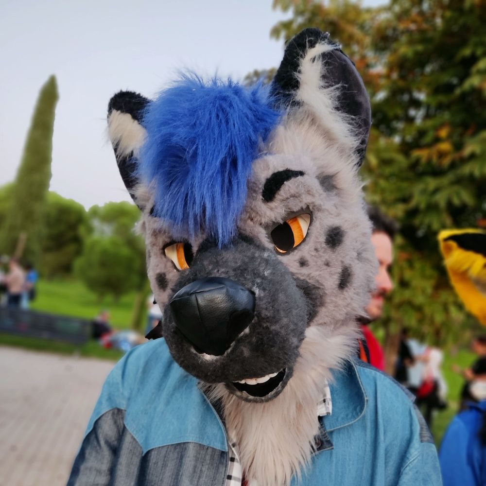 HyenaE McFly
