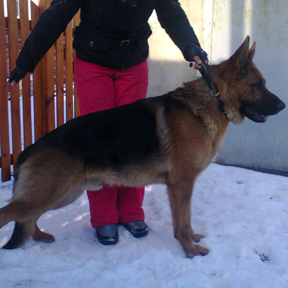 Гелій