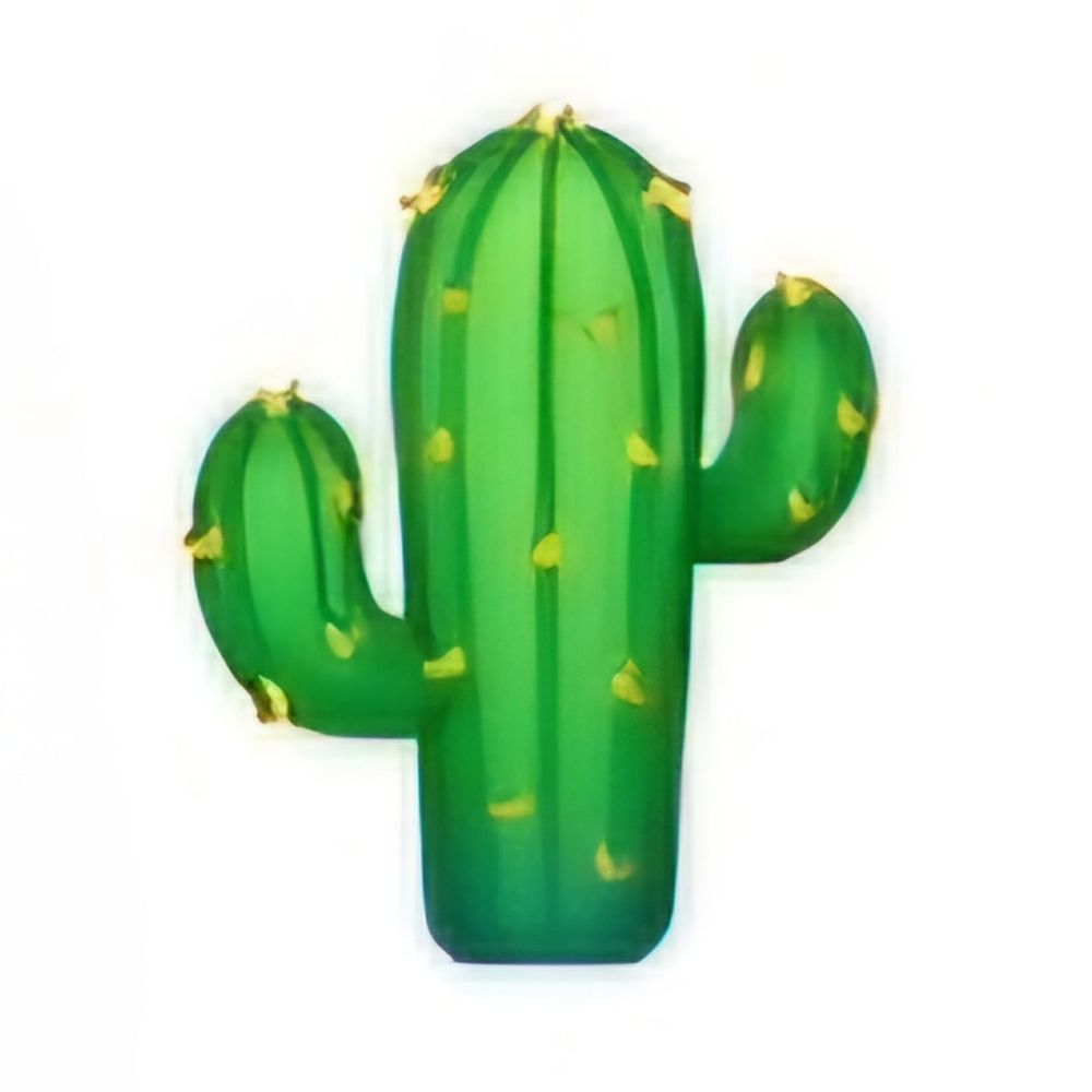 손🌵