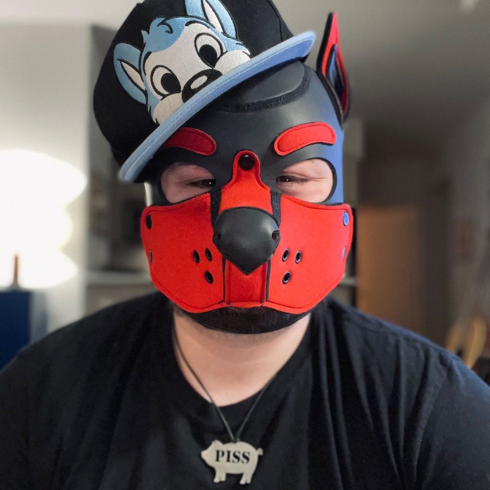 Pup Cato