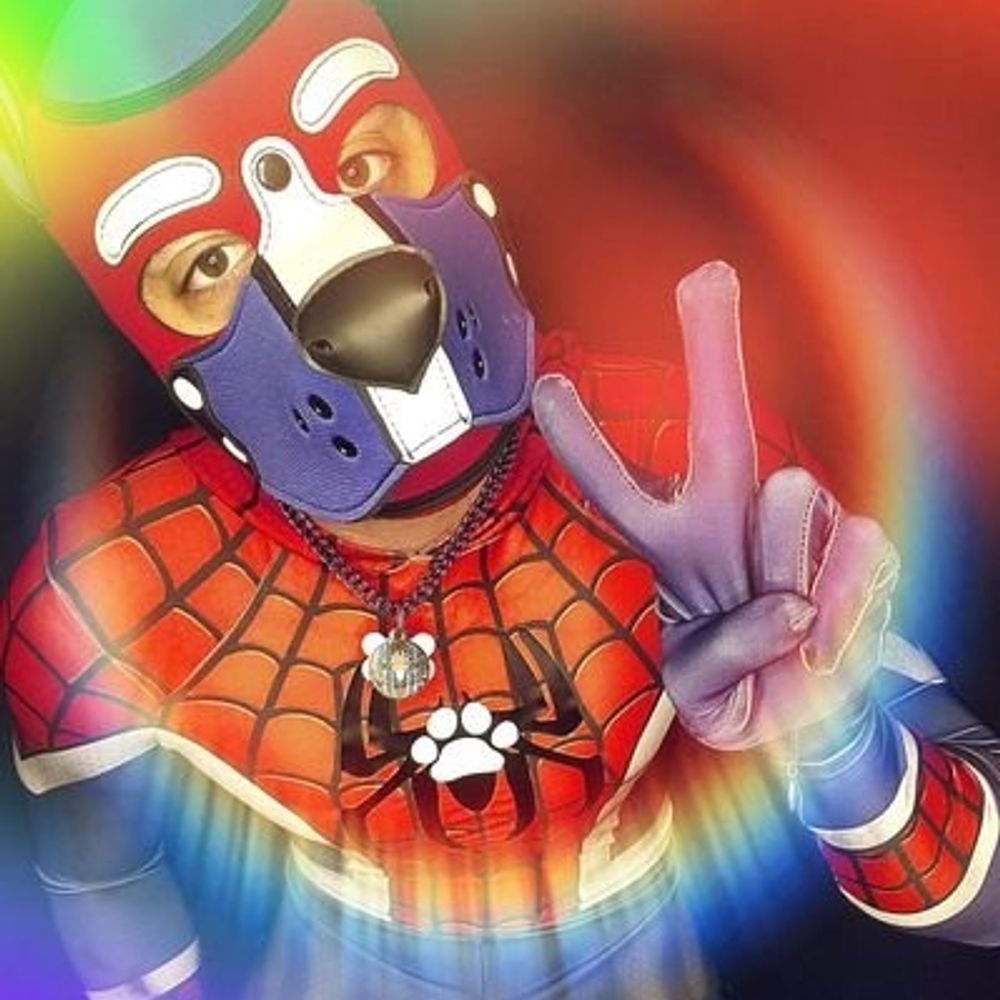 Spidey Pup