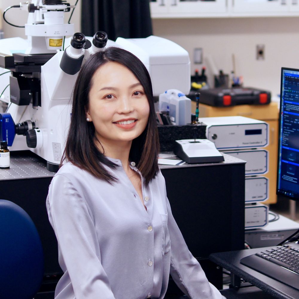 Xiaoyu Shi Lab