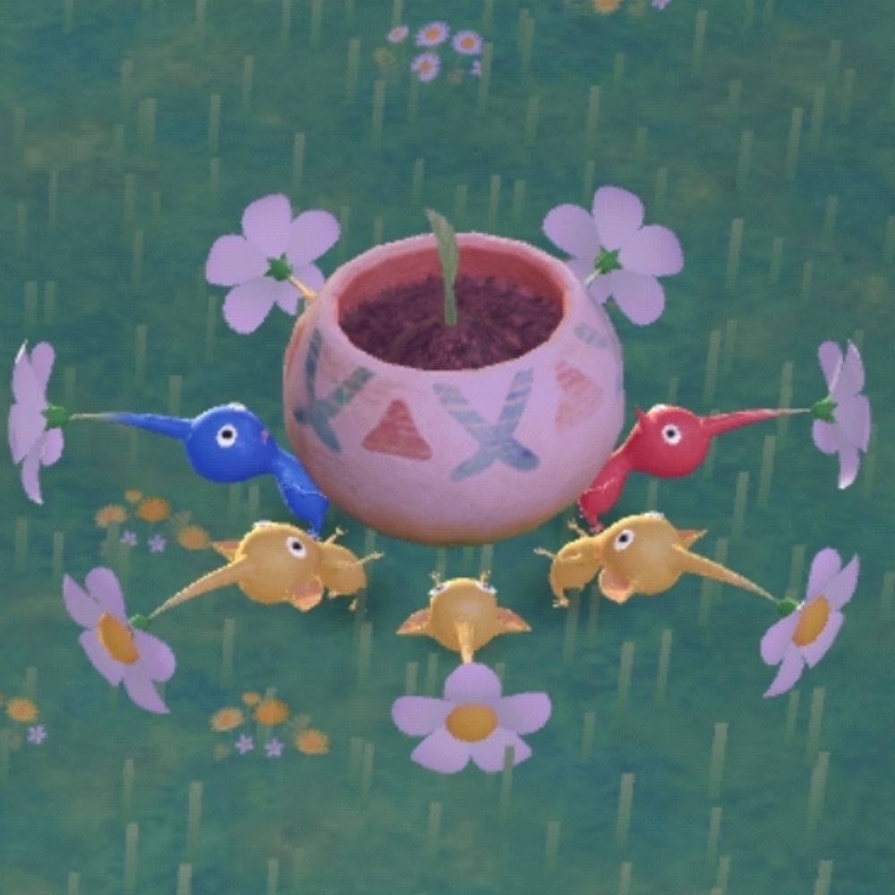 백지장
