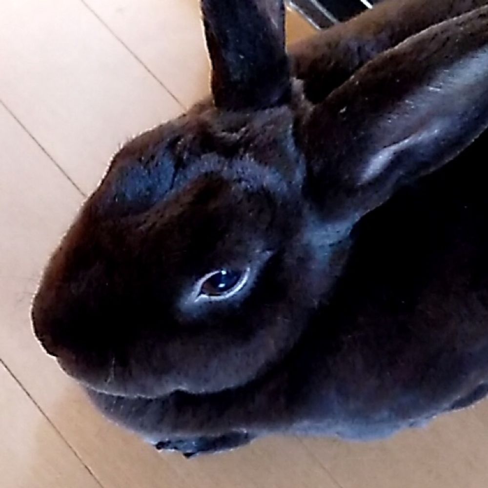 しげる