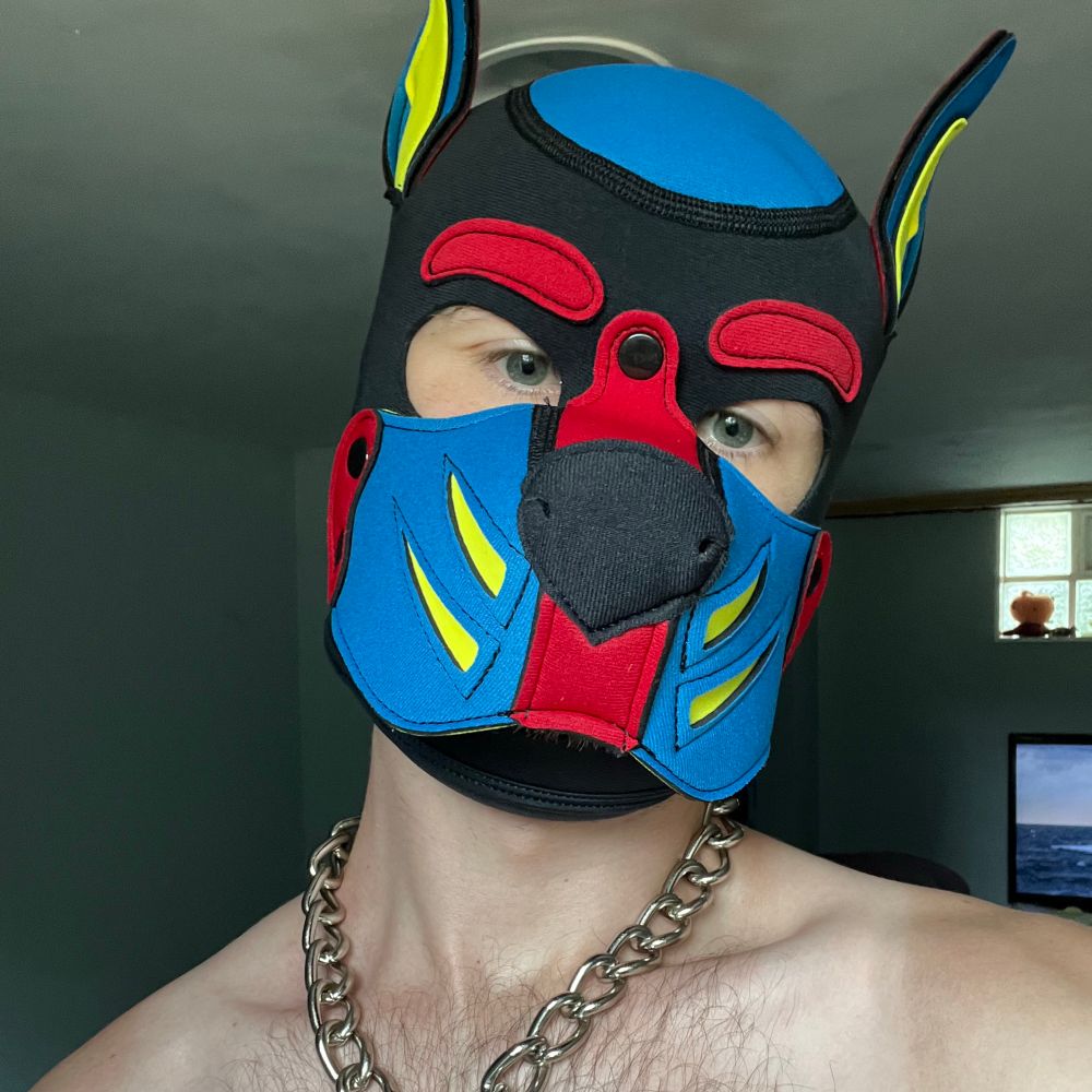 Pup Ryder