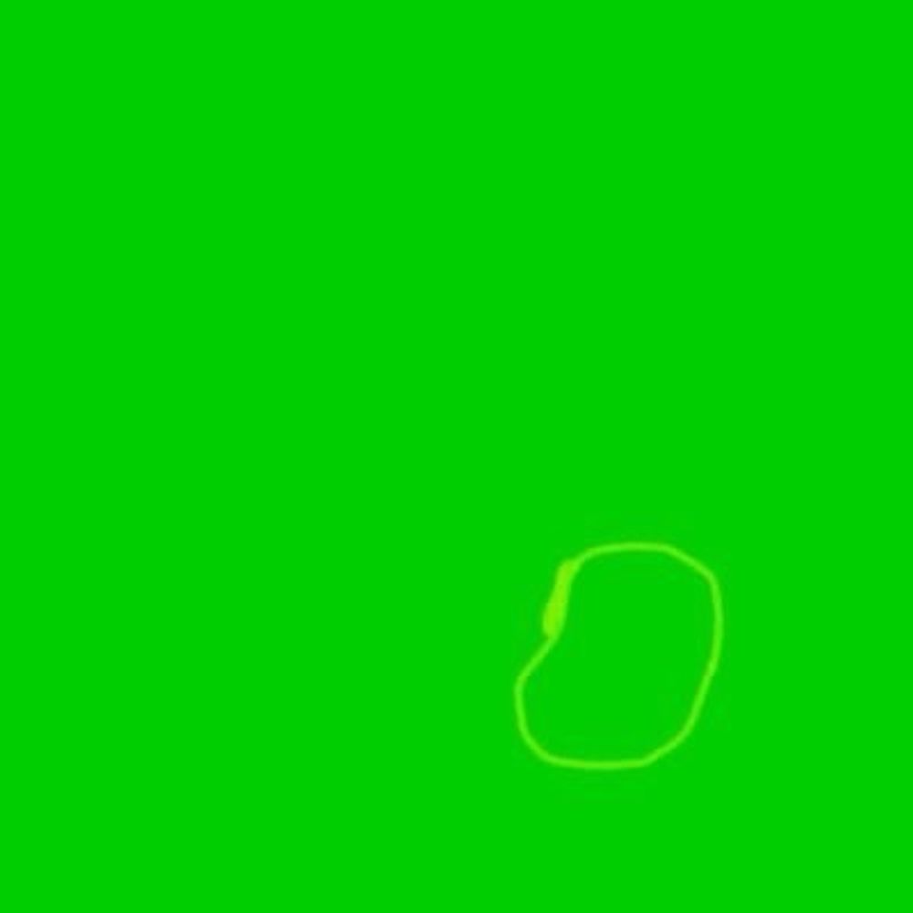 曲がり豆