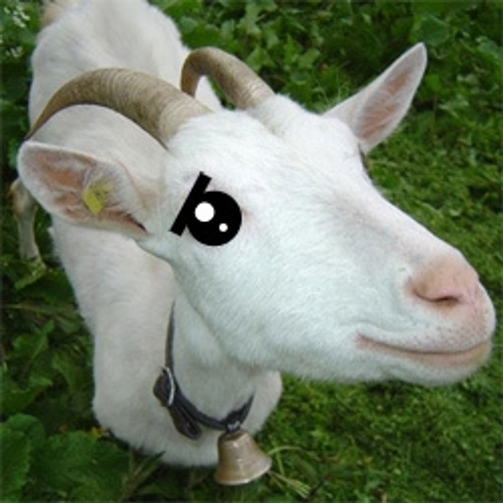 La chèvre grise