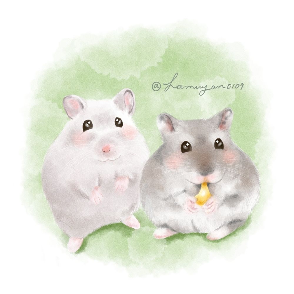 ゆい🐹🐹🐹🐹🐹