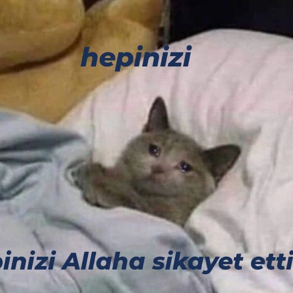 Hilal