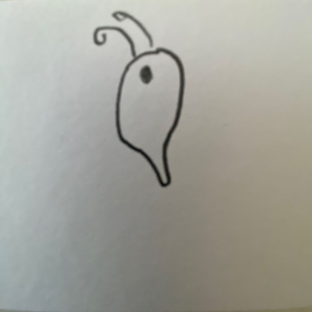 あみっく