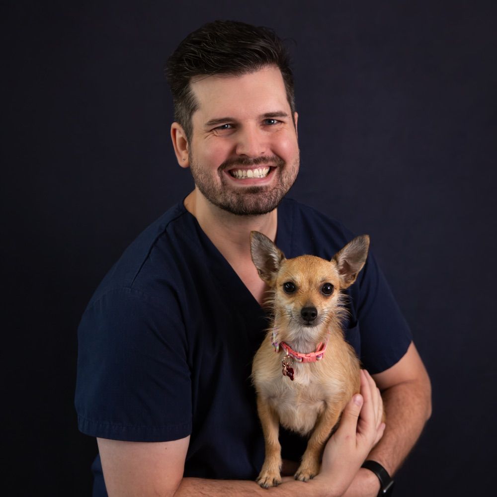 Daniel 🏳️‍🌈🐶