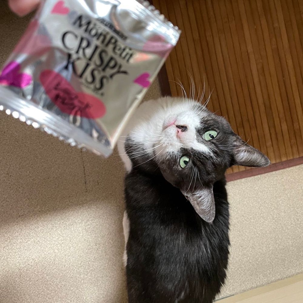 あきづきゆう