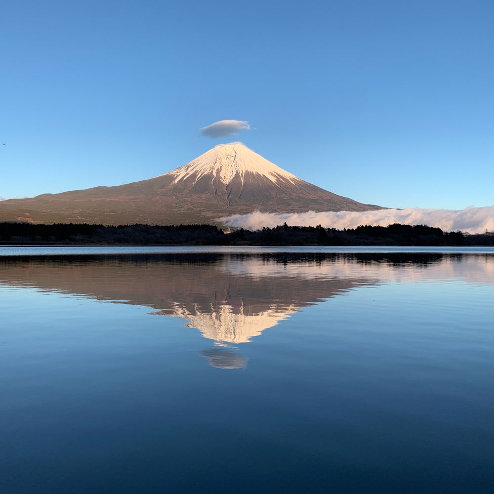 ものじん