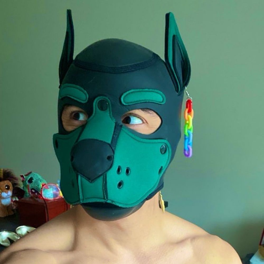 Pup Vero 🔜 AQF