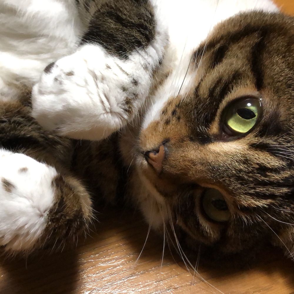 かにころ
