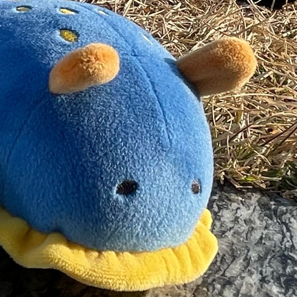 アサクラ作業しなさい