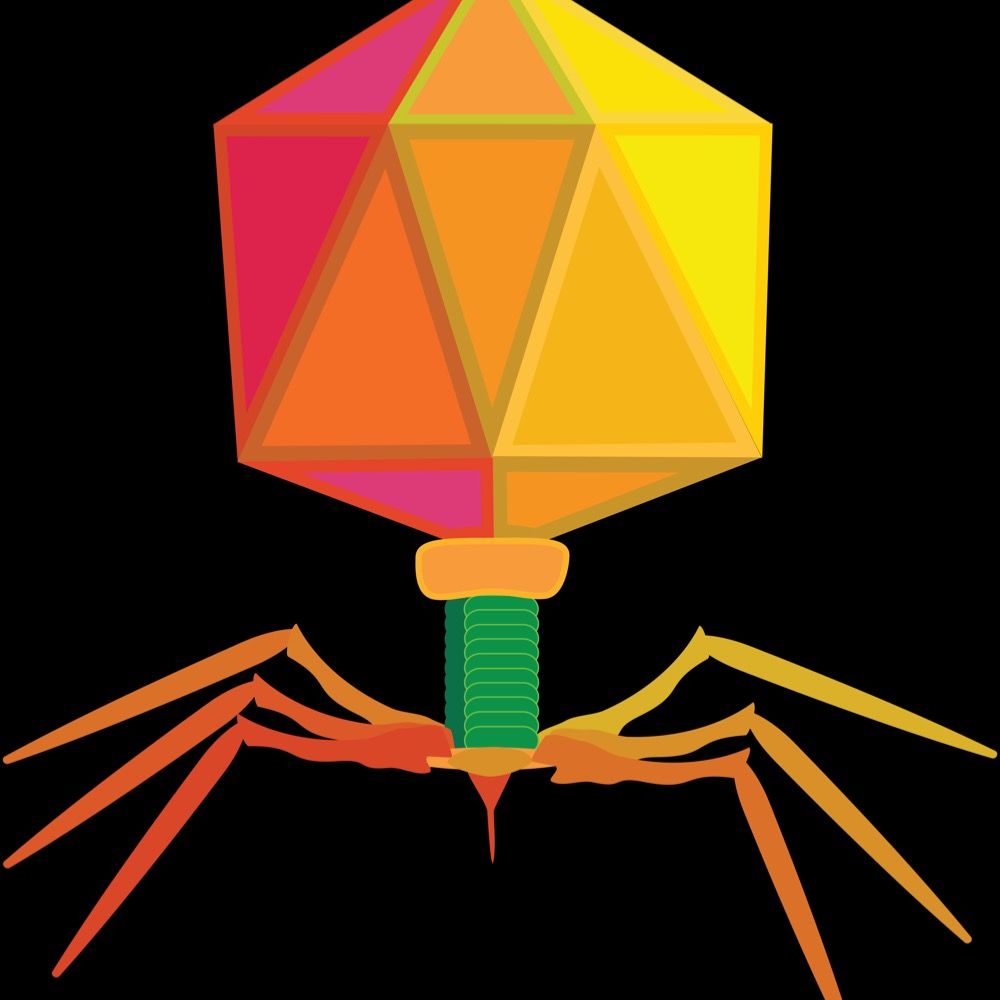 Phage papers