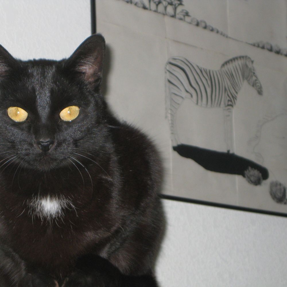 LindKitty