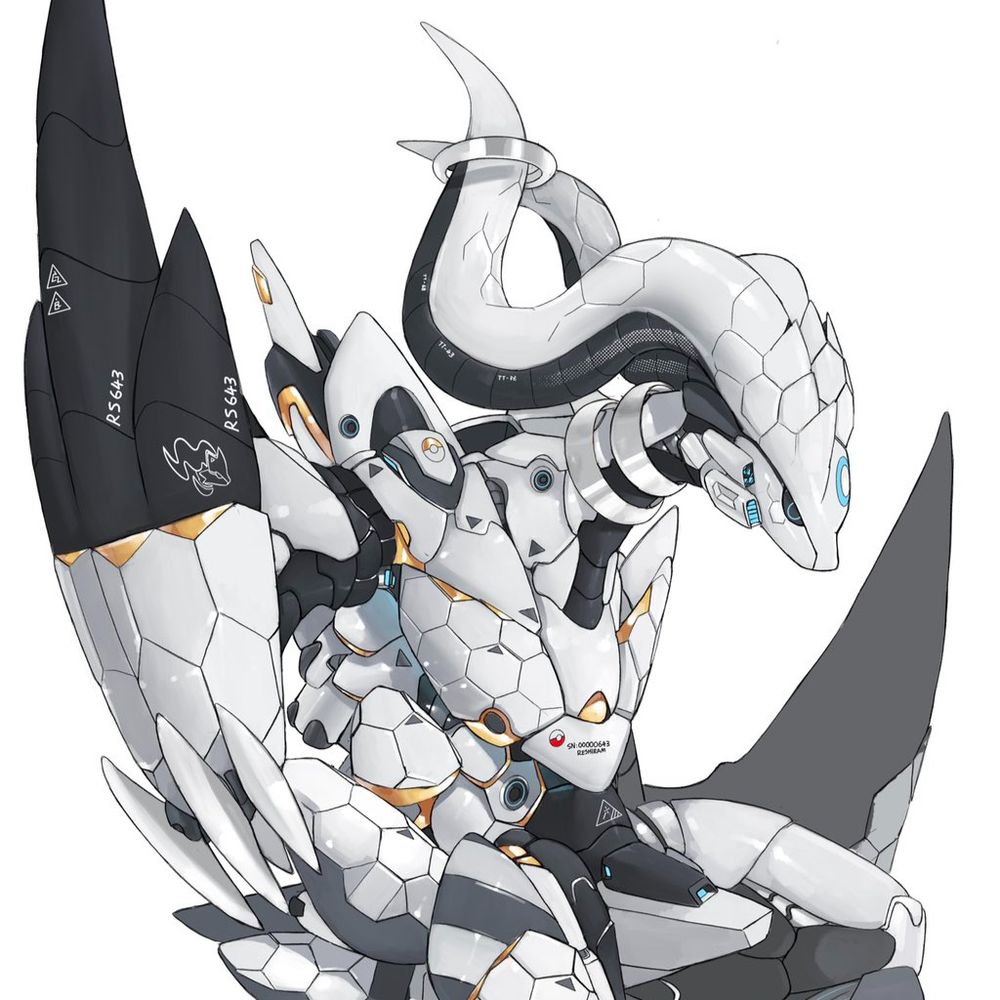 ReshiramSlayer