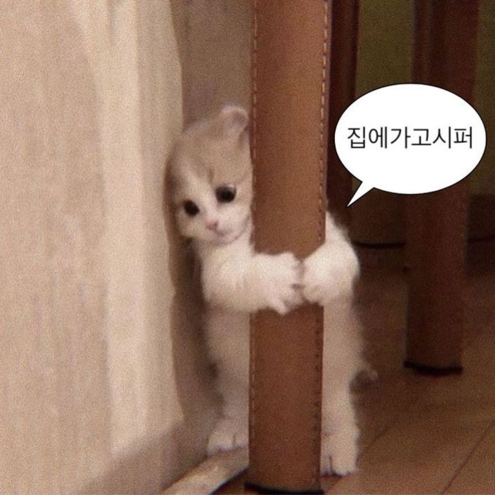 루안