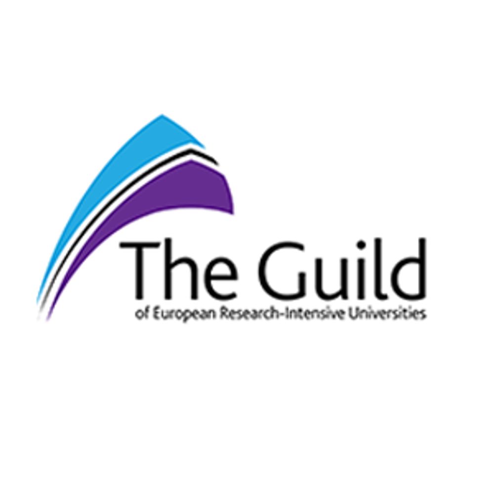 The Guild