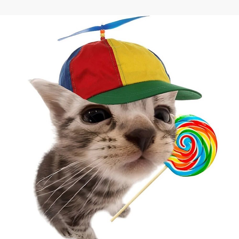 chazzybara