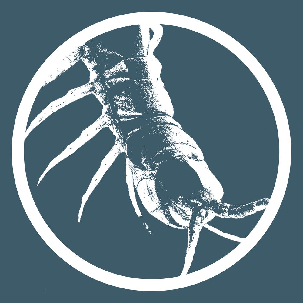Centipede Effect