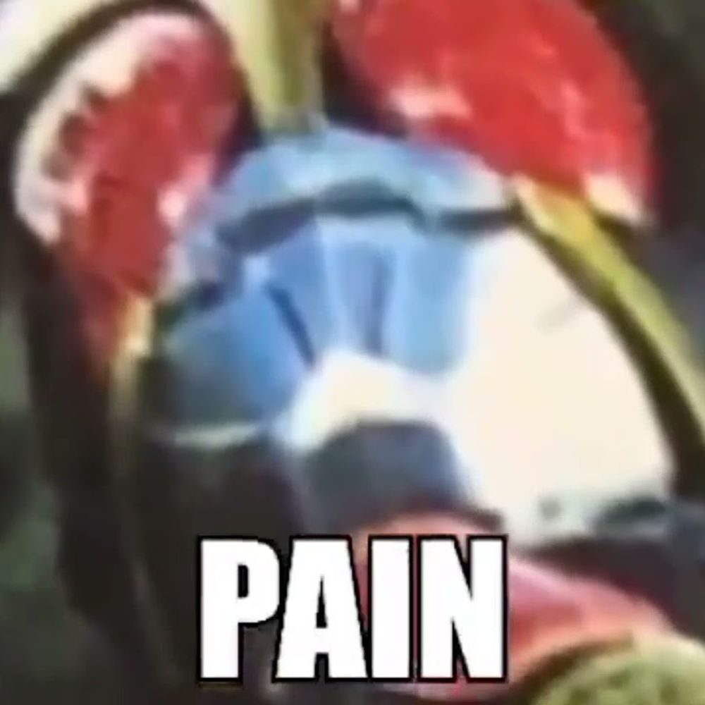 Tokusatsu Anything