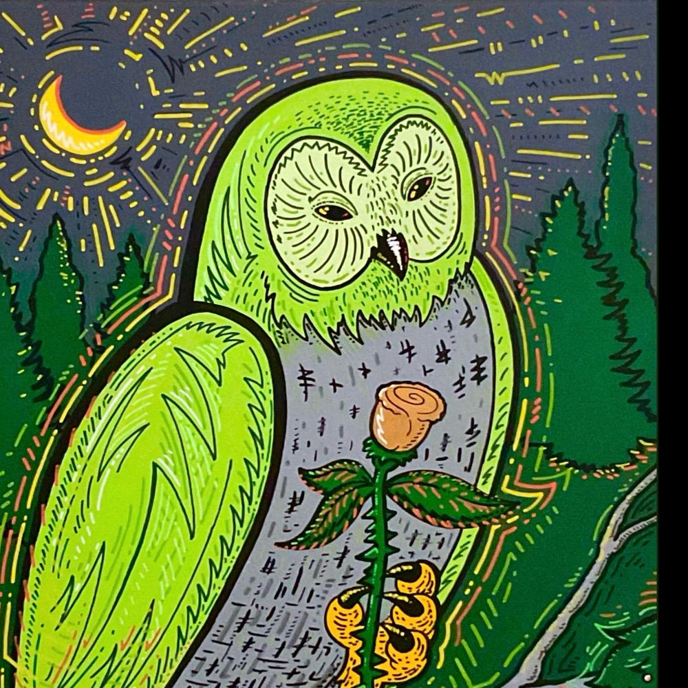 🌳🦉✏️