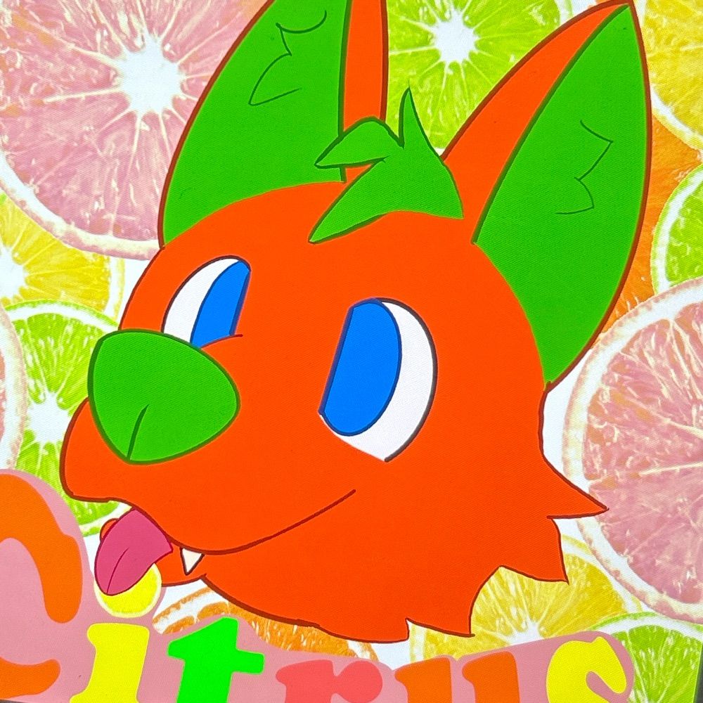 🍉🍊Citrus the Fox🍊🍉