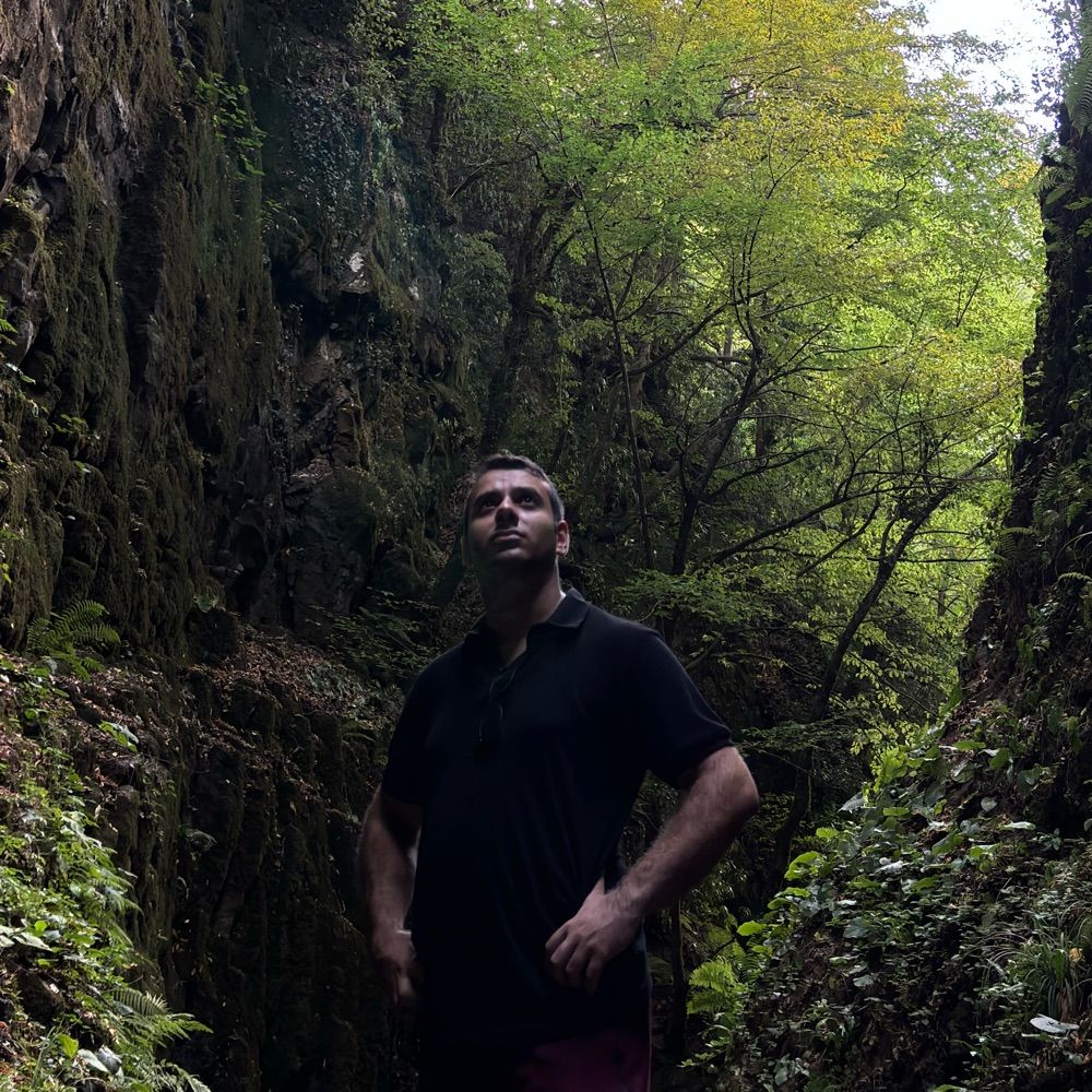 Berk Öğüt