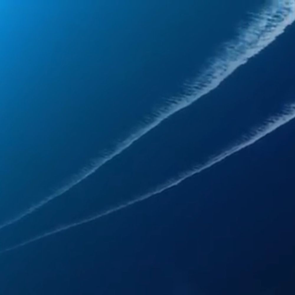 命