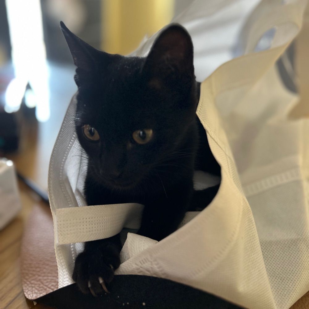 Martín